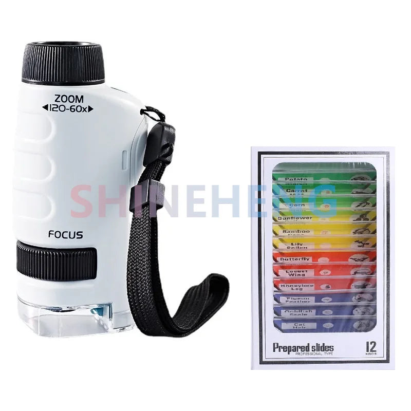 Pocket Microscope 60–120x with LED Light for Kids