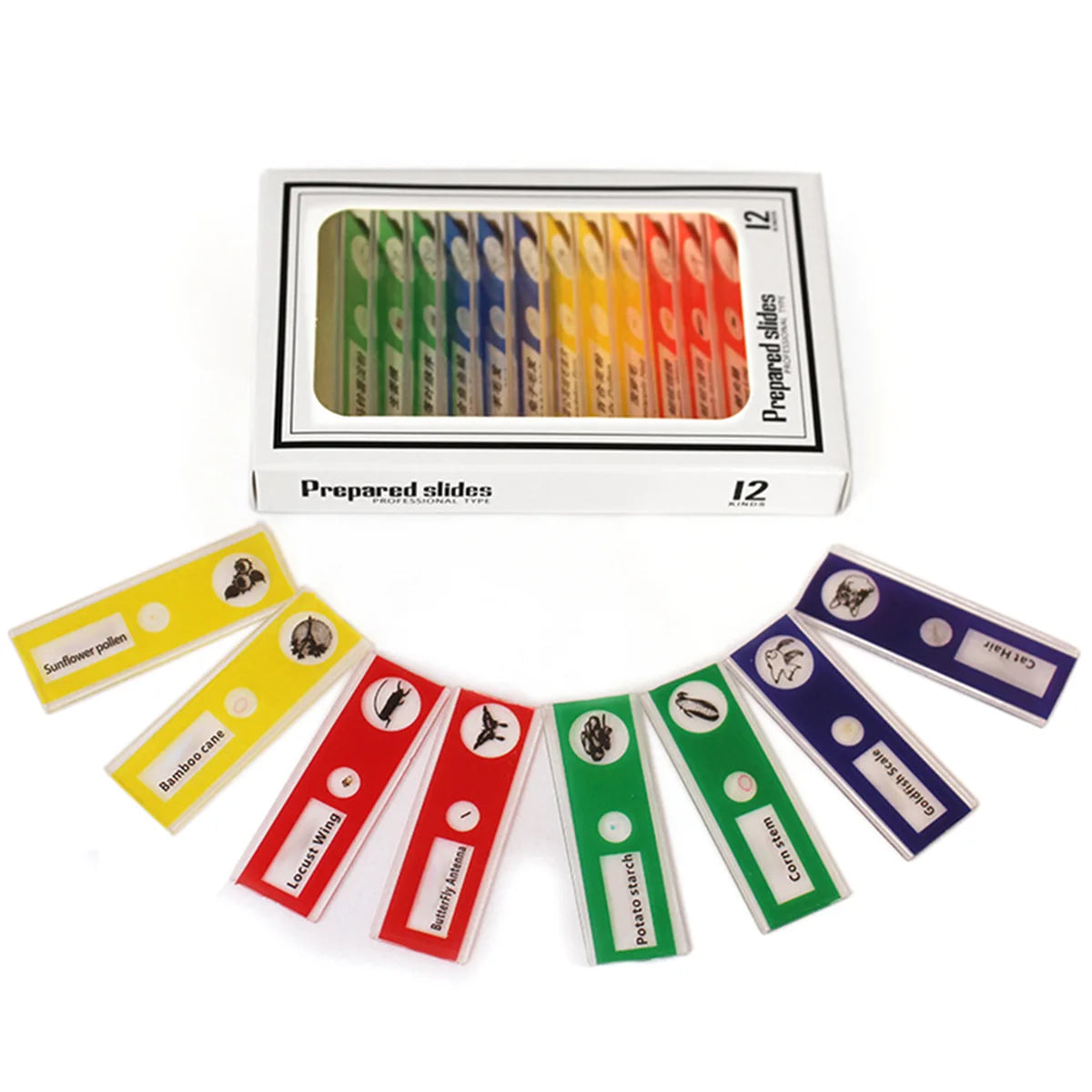 Pocket Microscope 60–120x with LED Light for Kids